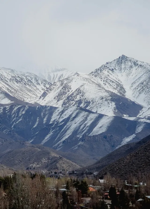 Viñedos de Mendoza